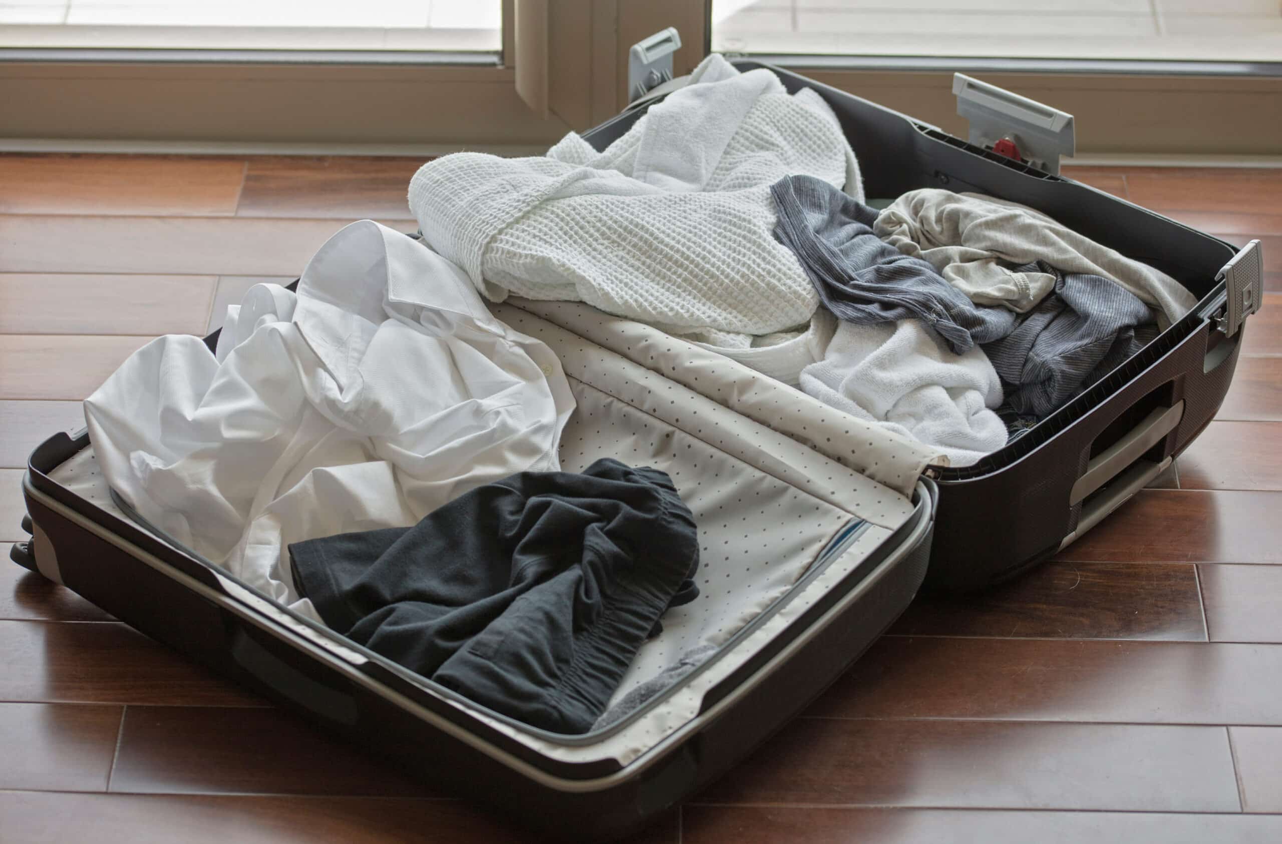 bed bugs in luggage