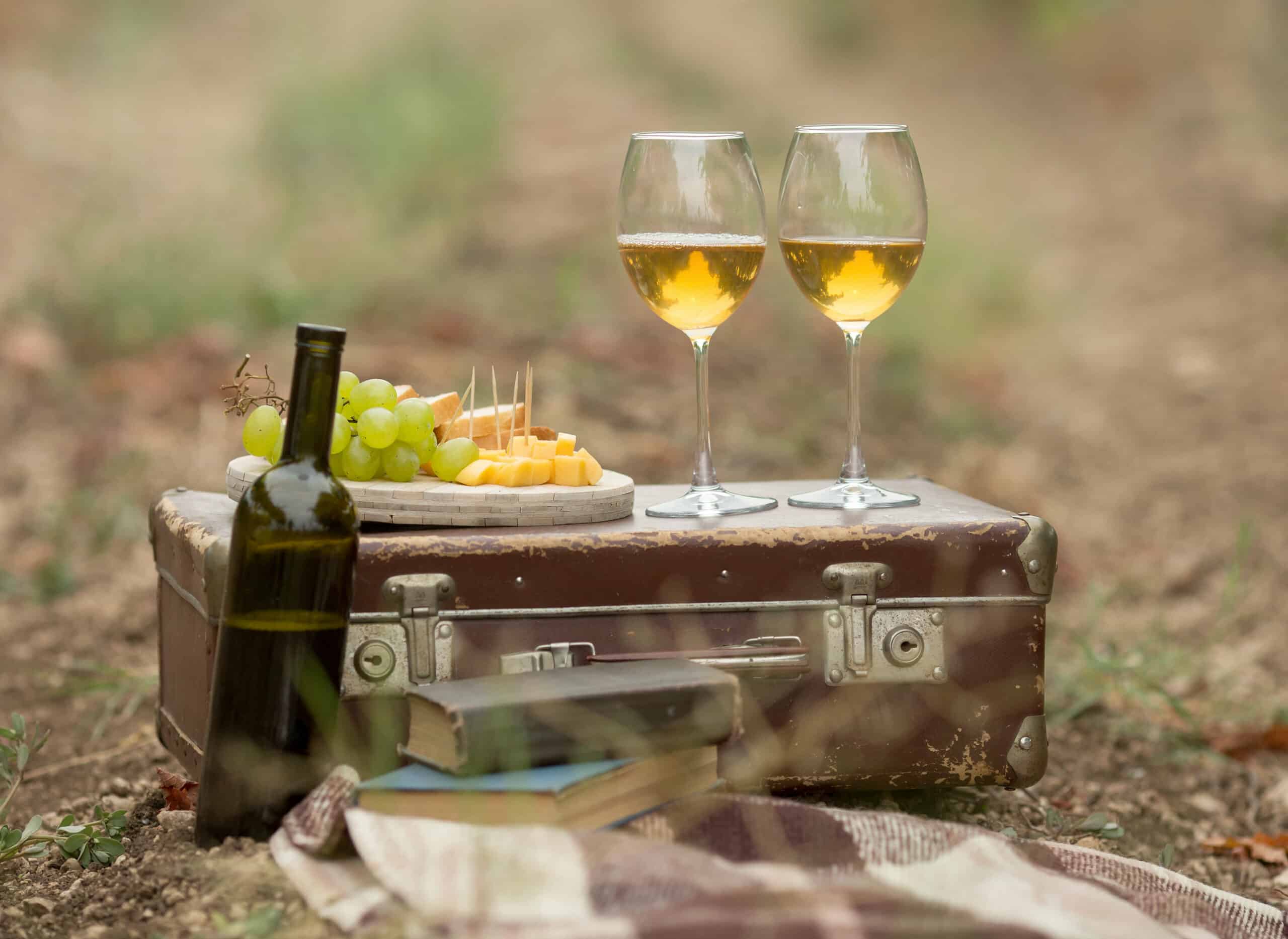 vintage composition with a bottle and glasses of white wine, grapes, cheese on a board , books and a  suitcase and a blanket  in nature. picnic concept