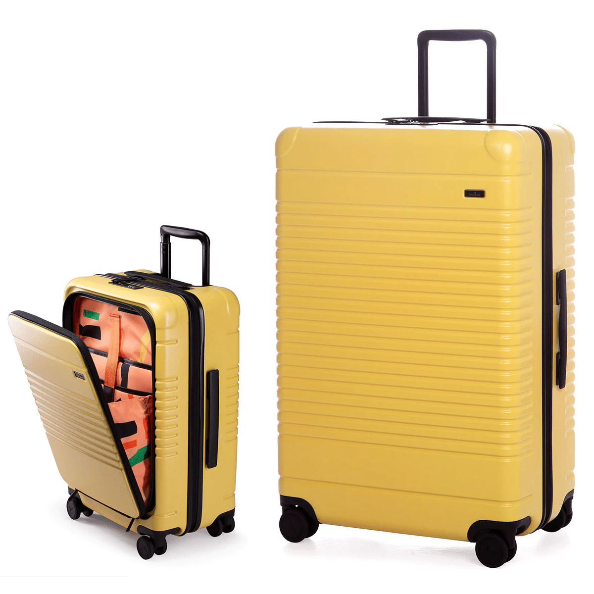 Arlo Skye The Zipper stylish luggage set