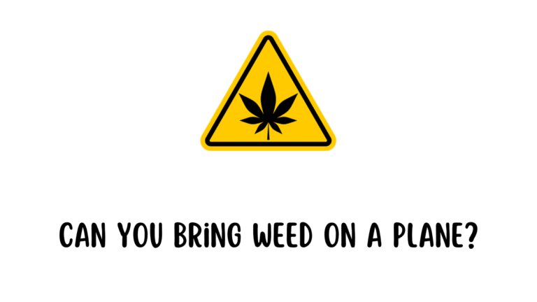 Can you bring weed on a plane?